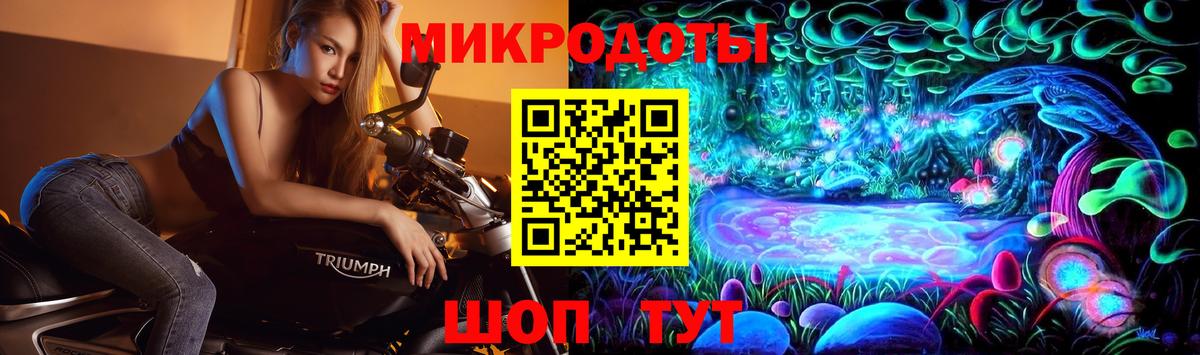 Псилоцибиновые грибы GOLDEN TEACHER  Вход с VPN  Галлюциногенные грибы прущие грибы  Каменка 